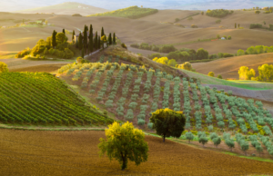 colline toscane - migliori destinazioni